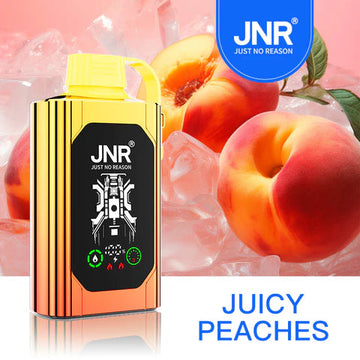 JNR SHISHA HOOKAH JUICY PEACHES
